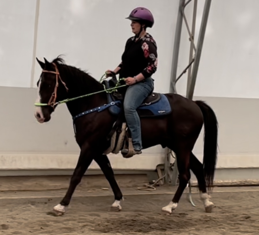 About Us Rockin B Riding Club